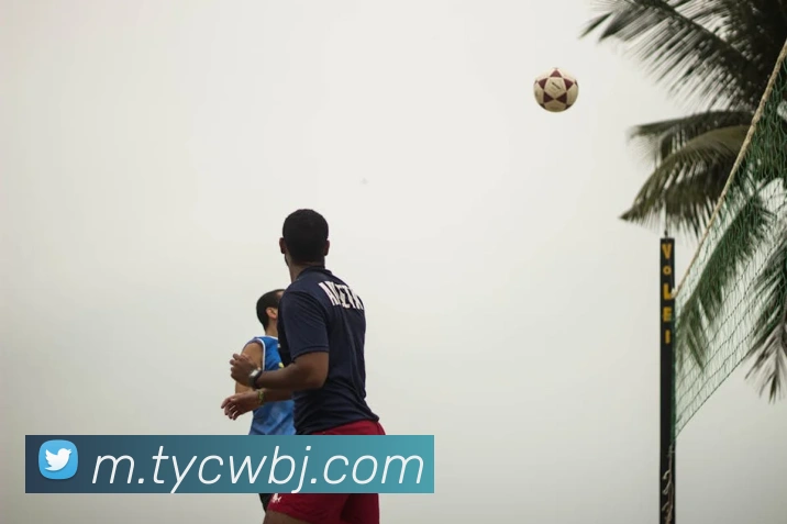 太阳城网站APP 封面图